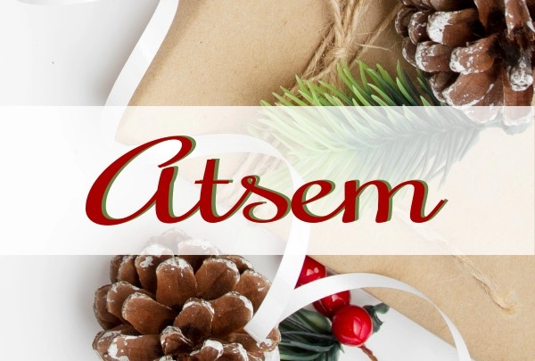 Cadeau de Noël pour ATSEM